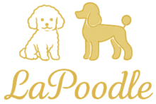 Lapoodle